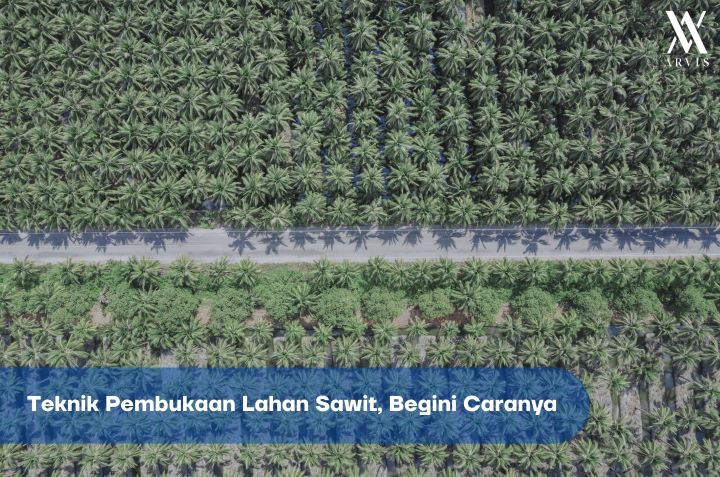Teknik Pembukaan Lahan Sawit